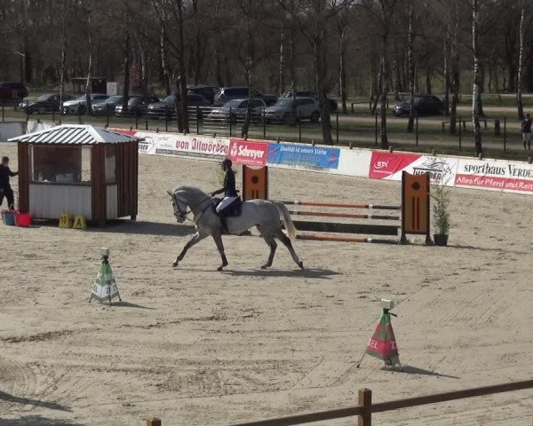 Reitturnier Westergellersen 2021