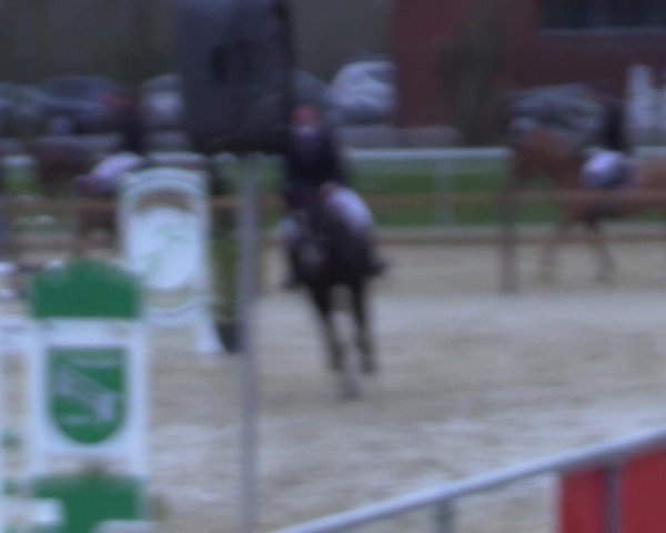 Reitturnier Oelde 2021