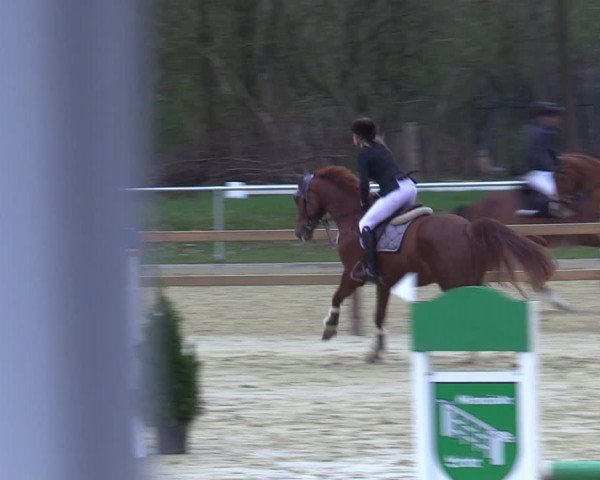 Reitturnier Oelde 2021