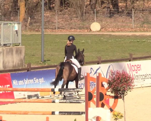 Reitturnier Westergellersen 2021