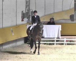 dressage horse Falco 373 (Bavarian, 2010, from For Romadour)