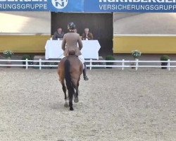 Dressurpferd Bloemfontein (Hannoveraner, 2010, von Bonifatius)