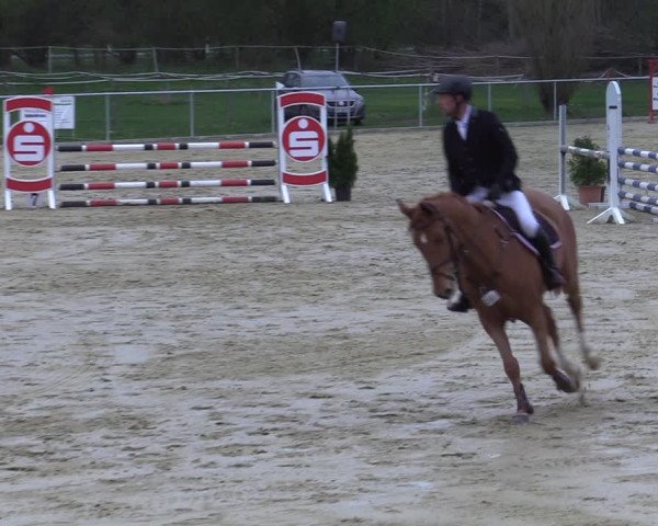Reitturnier Oelde 2021