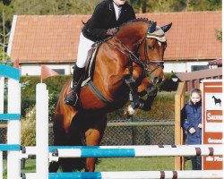 jumper Chilling (German Sport Horse, 2009, from Calido I)