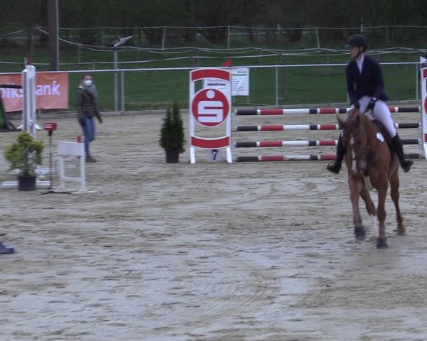 Reitturnier Oelde 2021