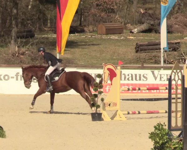 Reitturnier Westergellersen 2021