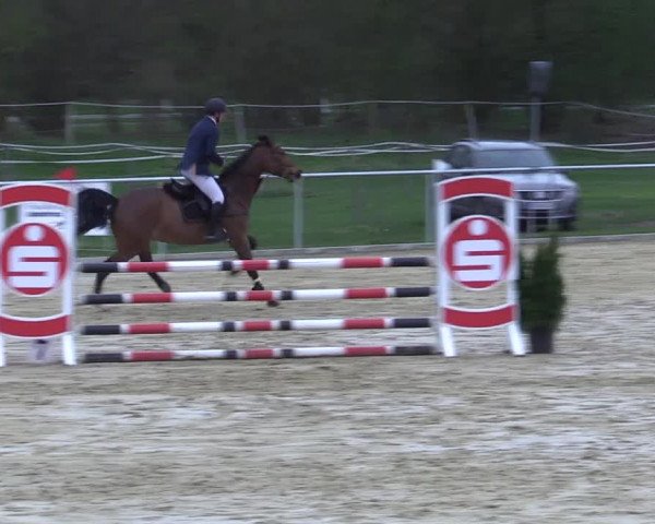 Reitturnier Oelde 2021
