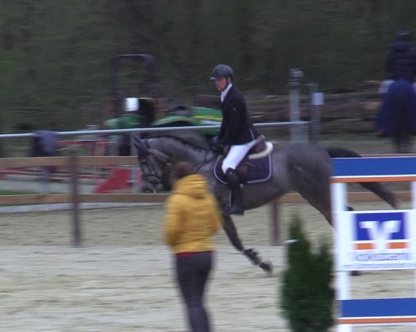 Reitturnier Oelde 2021