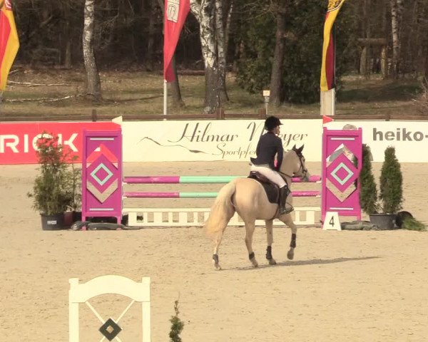 Reitturnier Westergellersen 2021