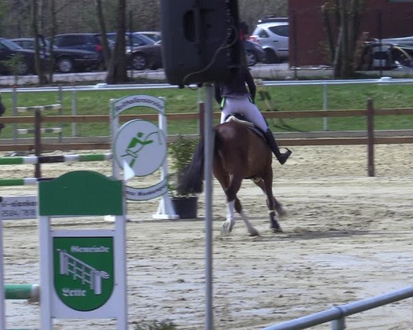 Reitturnier Oelde 2021