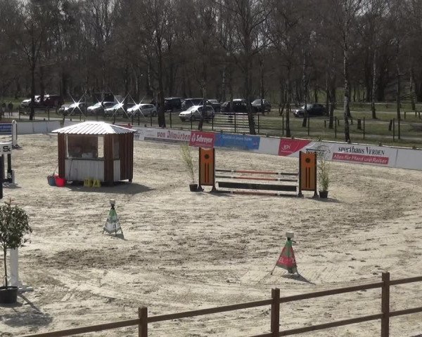 Reitturnier Westergellersen 2021