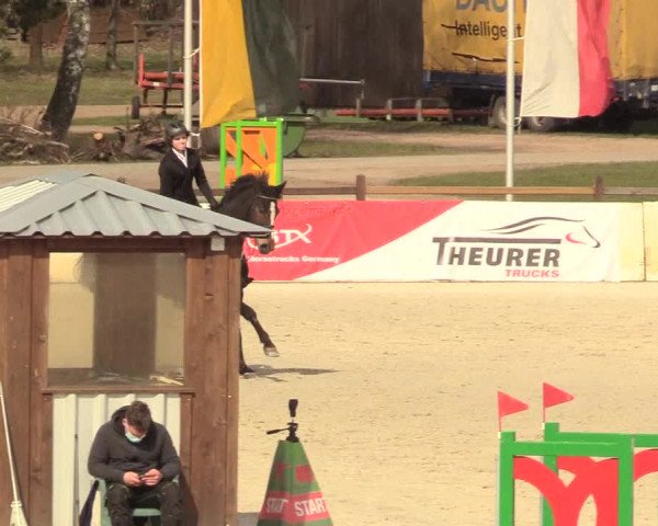 Reitturnier Westergellersen 2021
