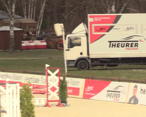 Reitturnier Westergellersen 2021