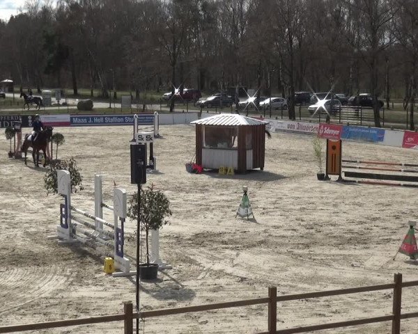 Reitturnier Westergellersen 2021
