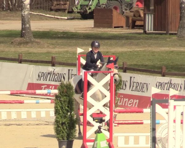Reitturnier Westergellersen 2021