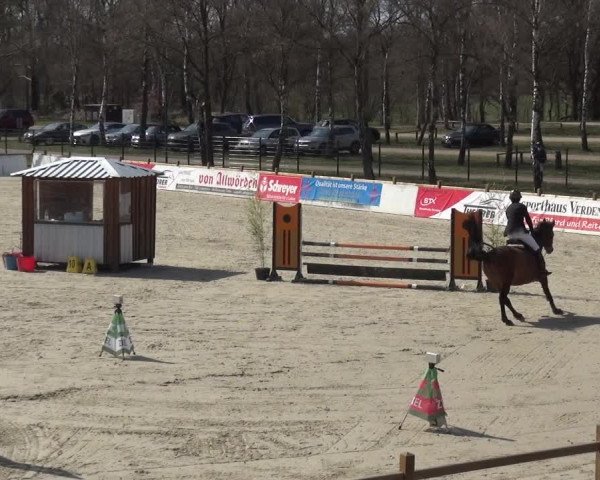 Reitturnier Westergellersen 2021