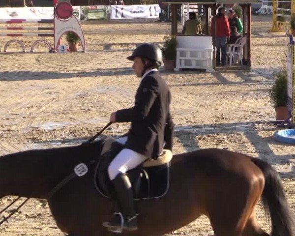 broodmare Caprice 445 (Oldenburg, 2005, from Cordobes II)