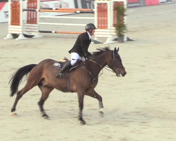 Reitturnier Westergellersen 2021