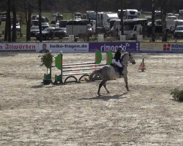 Reitturnier Westergellersen 2021