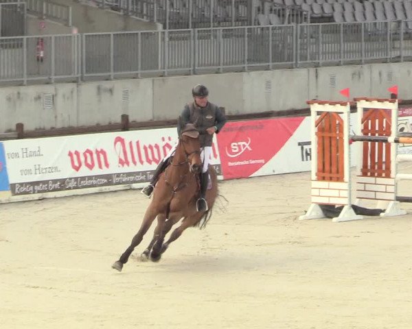 Reitturnier Westergellersen 2021