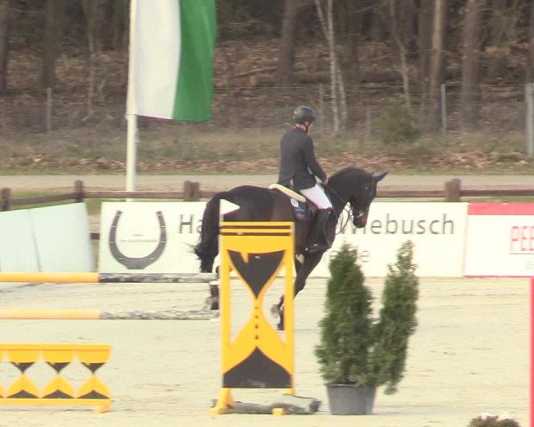 Reitturnier Westergellersen 2021