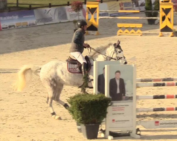 Reitturnier Westergellersen 2021