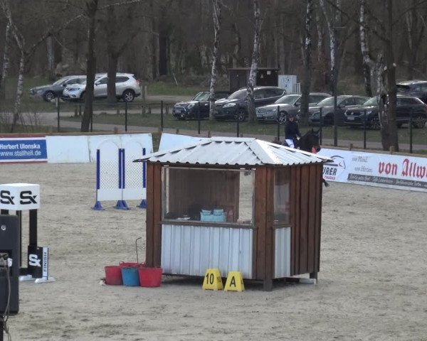 Reitturnier Westergellersen 2021