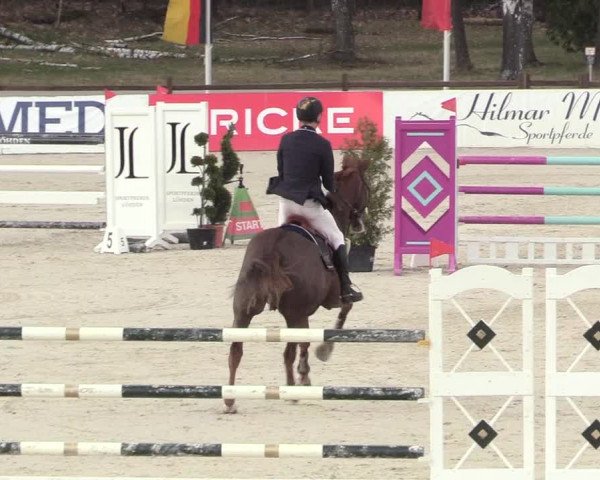 Reitturnier Westergellersen 2021