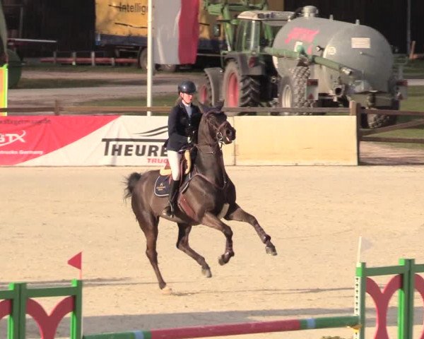 Reitturnier Westergellersen 2021