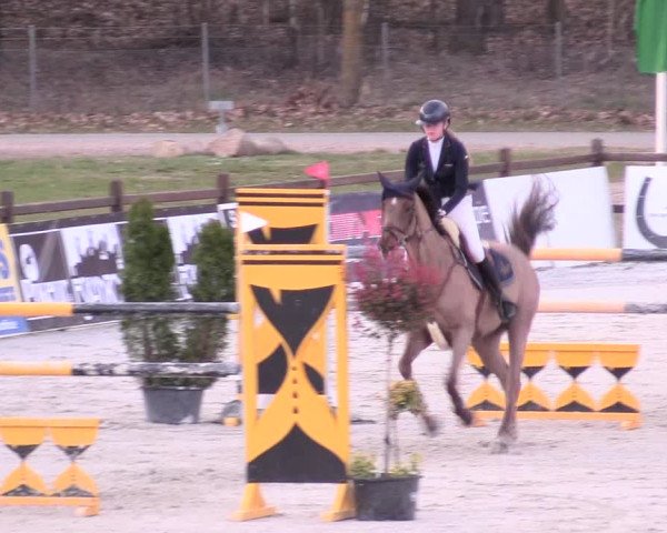 Reitturnier Westergellersen 2021