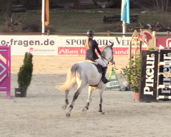 Reitturnier Westergellersen 2021
