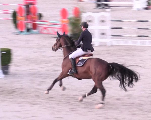 Reitturnier Westergellersen 2021