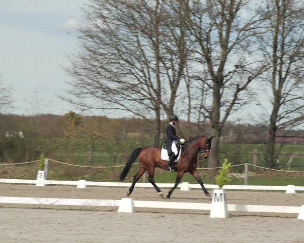 Reitturnier Scharnebeck 2021