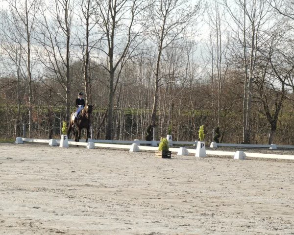 Reitturnier Scharnebeck 2021