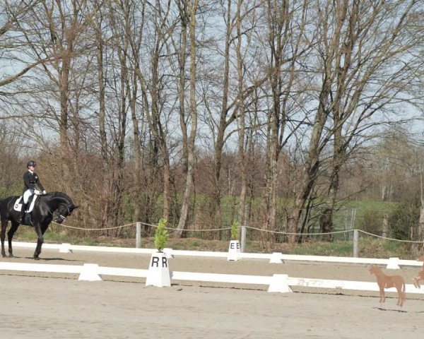 Reitturnier Scharnebeck 2021