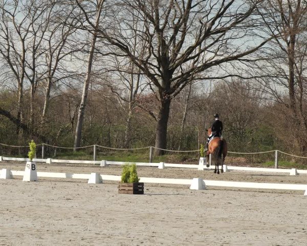 Reitturnier Scharnebeck 2021