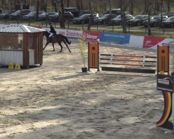 Reitturnier Westergellersen 2021