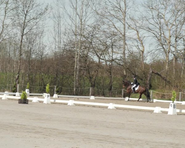 Reitturnier Scharnebeck 2021