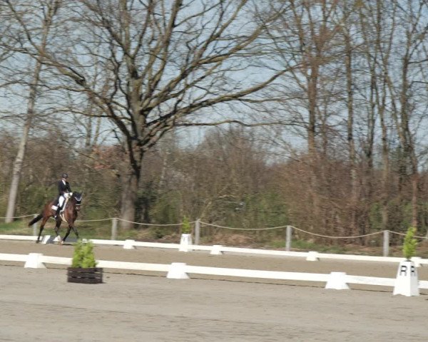 Reitturnier Scharnebeck 2021
