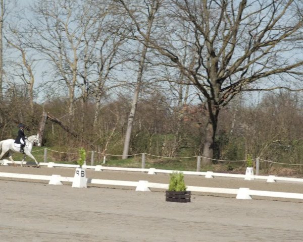 Reitturnier Scharnebeck 2021