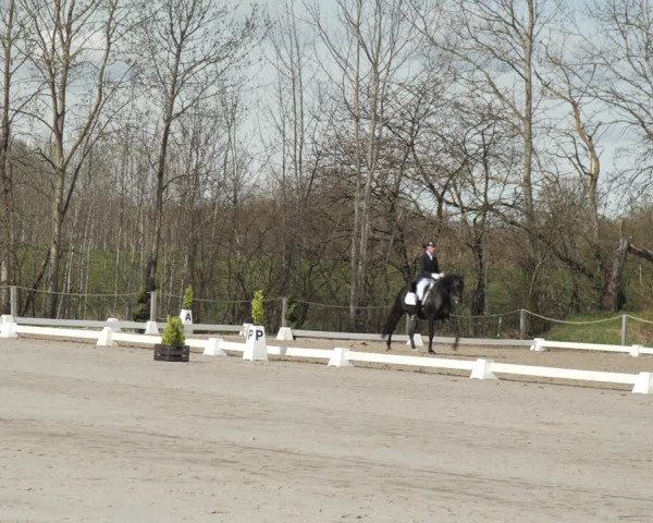 Reitturnier Scharnebeck 2021