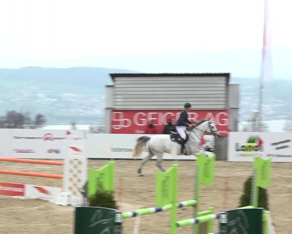 Reitturnier Wädenswil 2021