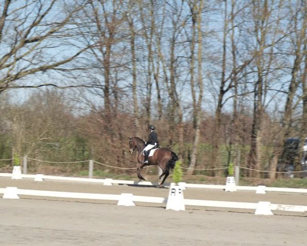 Reitturnier Scharnebeck 2021