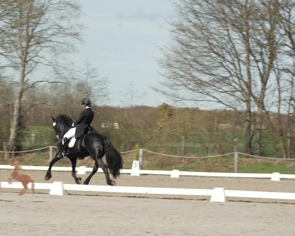 Reitturnier Scharnebeck 2021