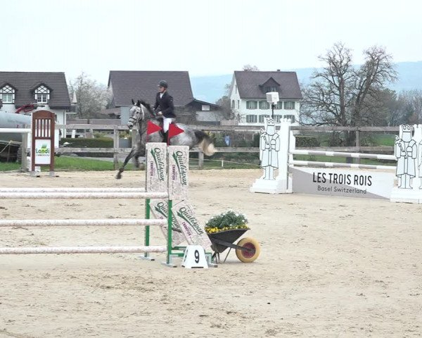 Reitturnier Wädenswil 2021