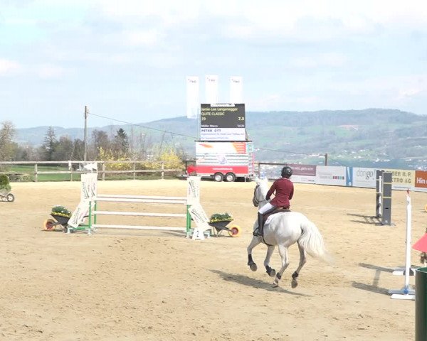 Reitturnier Wädenswil 2021