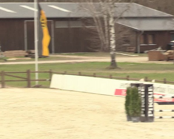 Reitturnier Westergellersen 2021
