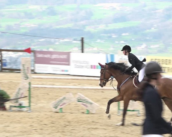 Reitturnier Wädenswil 2021