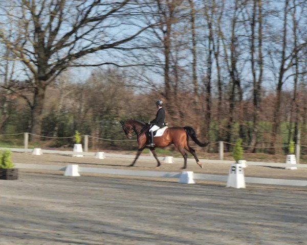 Reitturnier Scharnebeck 2021
