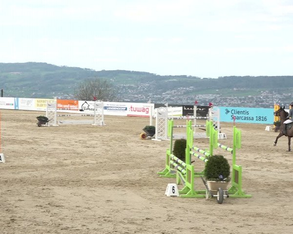Reitturnier Wädenswil 2021